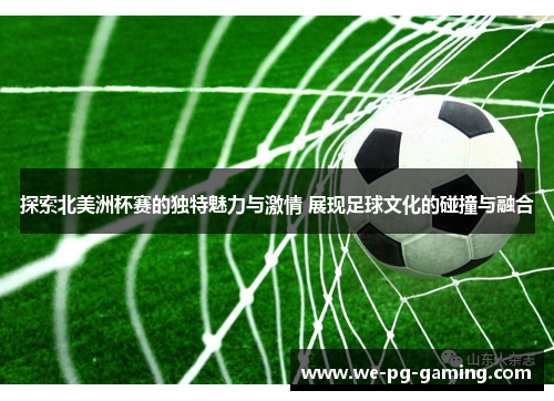 探索北美洲杯赛的独特魅力与激情 展现足球文化的碰撞与融合