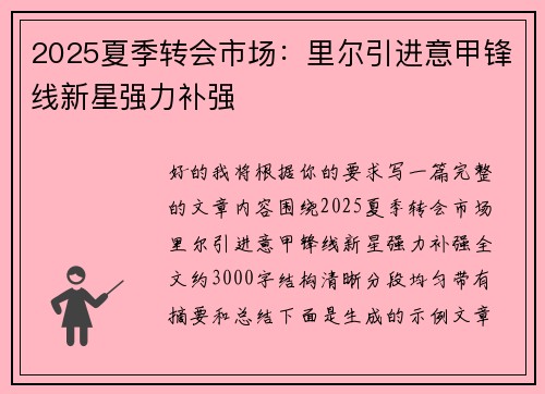 2025夏季转会市场：里尔引进意甲锋线新星强力补强